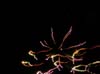 DSCN3579