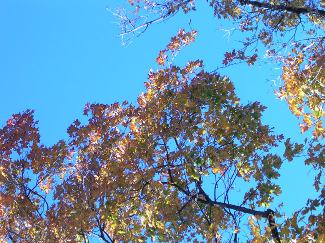 DSCN3657