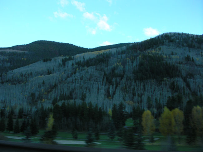 DSCN3662